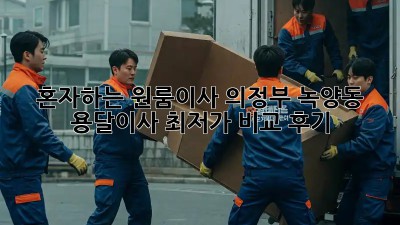 혼자하는 원룸이사? 의정부 녹양동 용달이사 최저가 비교 후기! 💸📦